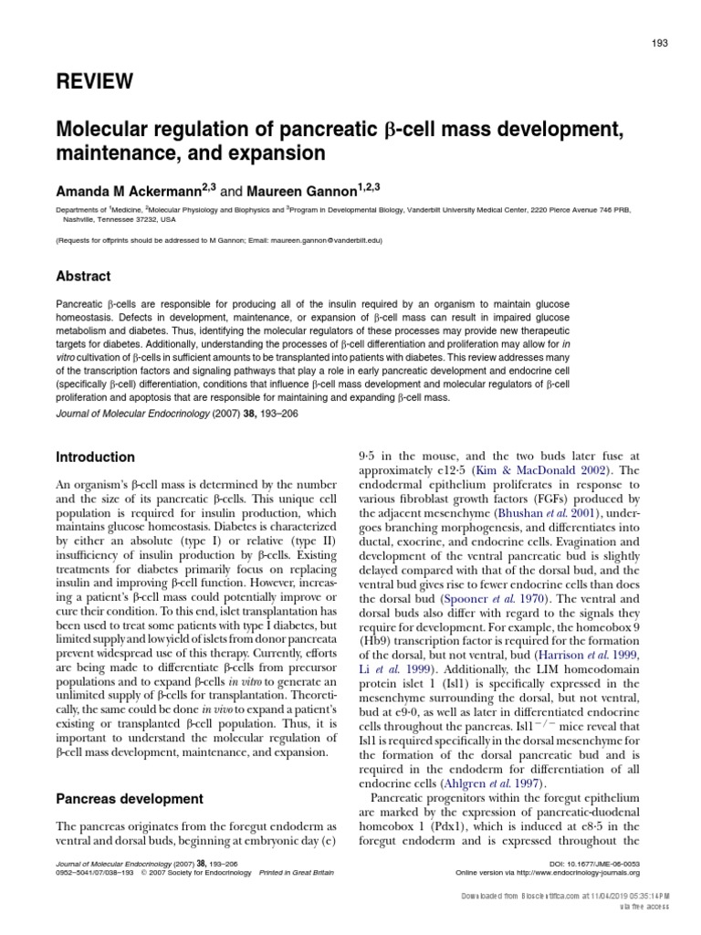 Molecular Regulation of Pancreatic Beta-Cell Mass Development | PDF ...