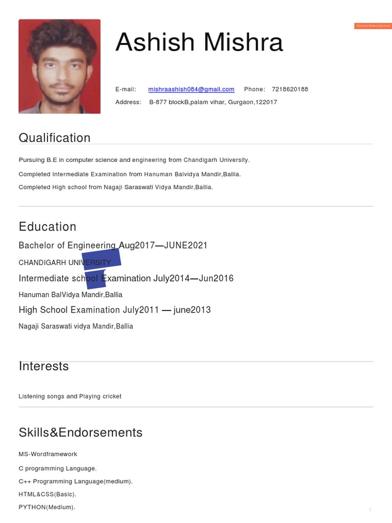 Ashish Mishra's Engineering Resume | PDF | Art | Computers