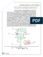 Busca las partes de una planta en esta sopa de letras