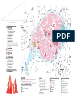 Sécurité du marché de Noël de Strasbourg 2019