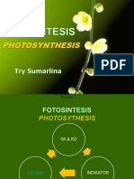 Fotosintesis