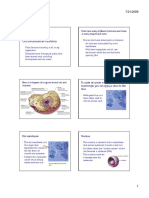 Cellstructure PDF