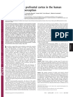 PNAS-2004-Cela-Conde-6321-5.pdf
