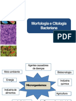 Morfologia e Citologia Bacteriana