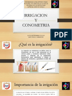 Presentacion Endodoncia Irrigacion y Conometria