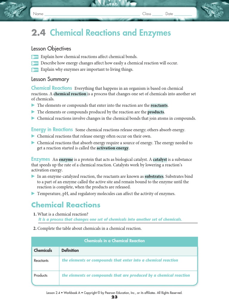 Enzyme Worksheet Answer Key  Chemical Reactions  Active Site In Enzyme Reactions Worksheet Answers