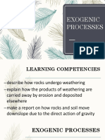 Exogenic Processes