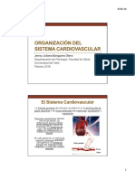 Organización Del Sistema Cardiovascular 2018-1