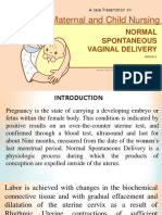 Maternal and Child Nursing Case Presentation on Normal Spontaneous Vaginal Delivery