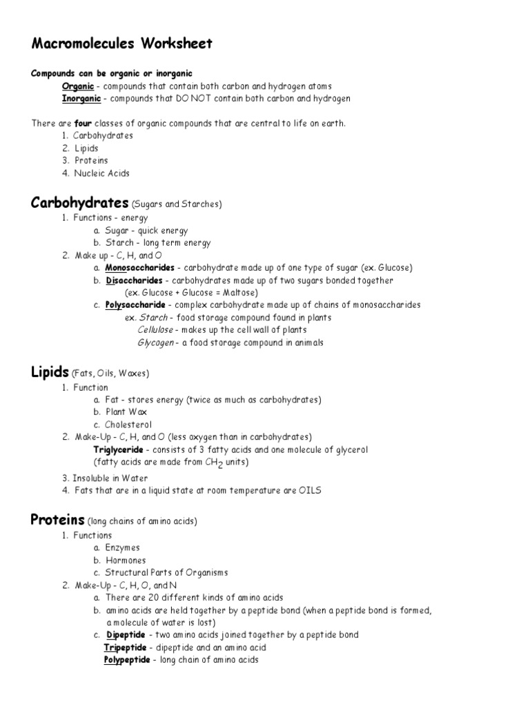 Macromolecules Worksheet Carbohydrates Rna