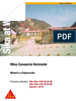 SAW Mina Consorcio Horizonte