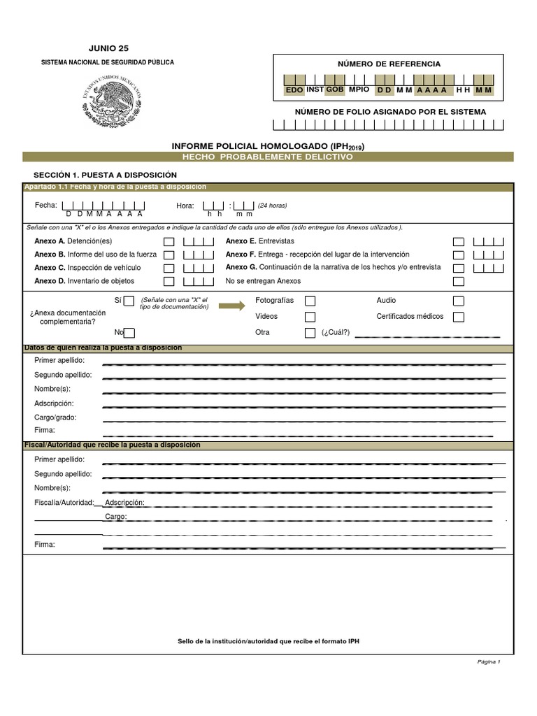 Informe Policial Homologado IPH 2019 | PDF | Esfera pública | Justicia