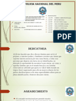Diapositivas (s1 PNP Perez Ruiz Luis Alberto)