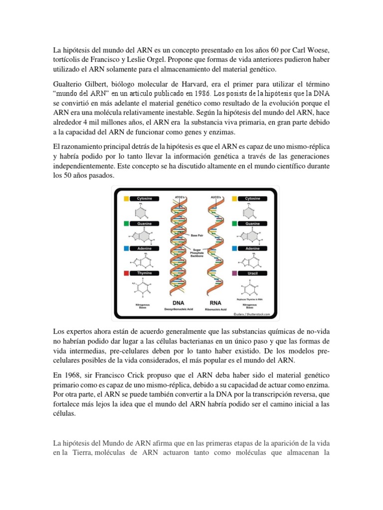 La Hipótesis del Mundo del ARN | PDF | Rna | Adn