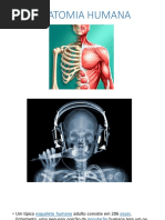 Anatomia Humana