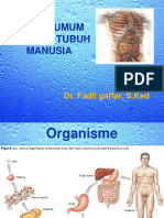 kuliah umum anatomi.pptx