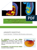 Embriologia Aparato Digestivo VVVV