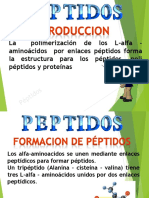 peptidos