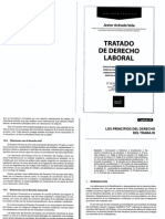 Los Principios Del Derecho Del Trabajo - JAV PDF
