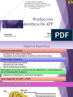 Producción Aeróbica de ATP