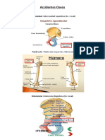Accidentes Oseos