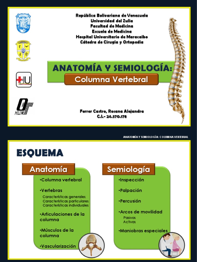 Anatomía y Semiología de la Columna Vertebral | PDF | La columna ...