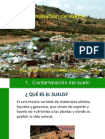 Contaminacion Suelo