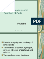 Biological Molecules - Proteins