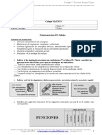 Biologia 1° TP Celula Col Magnus 2017