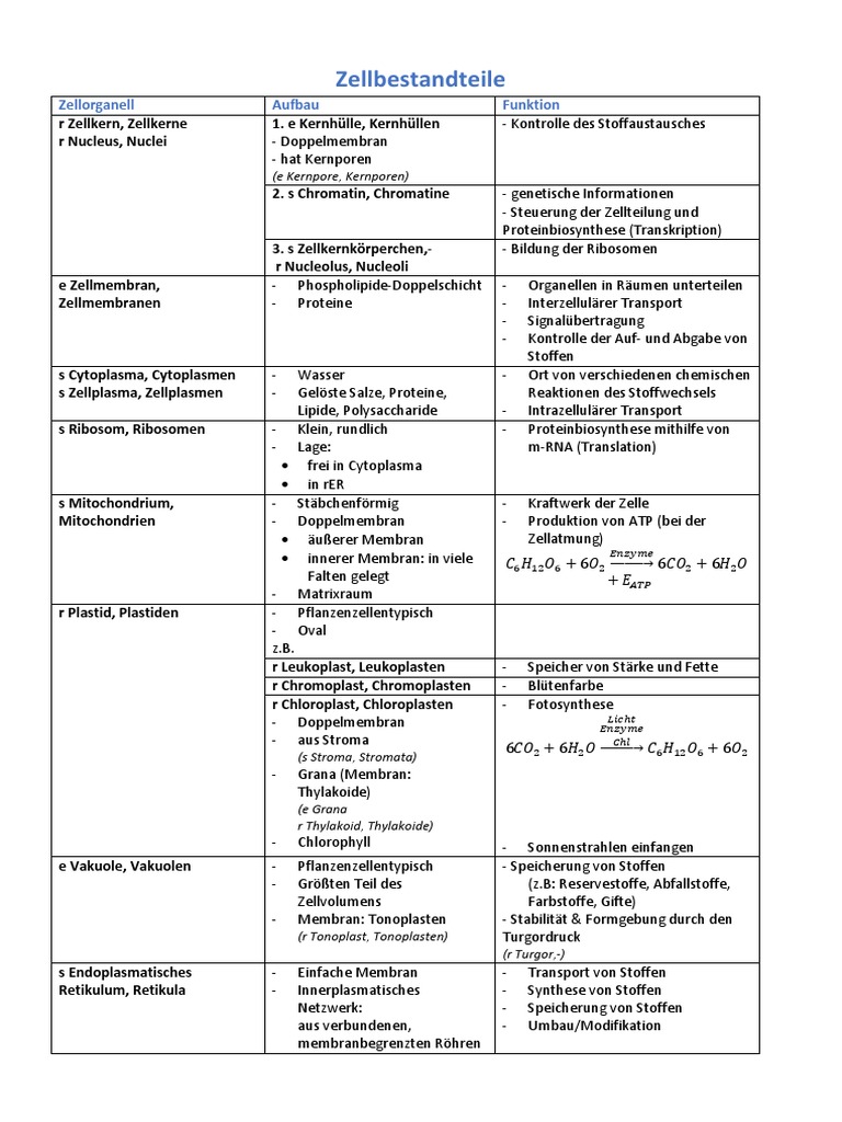 Zellbestandteile: Zellorganell Aufbau Funktion