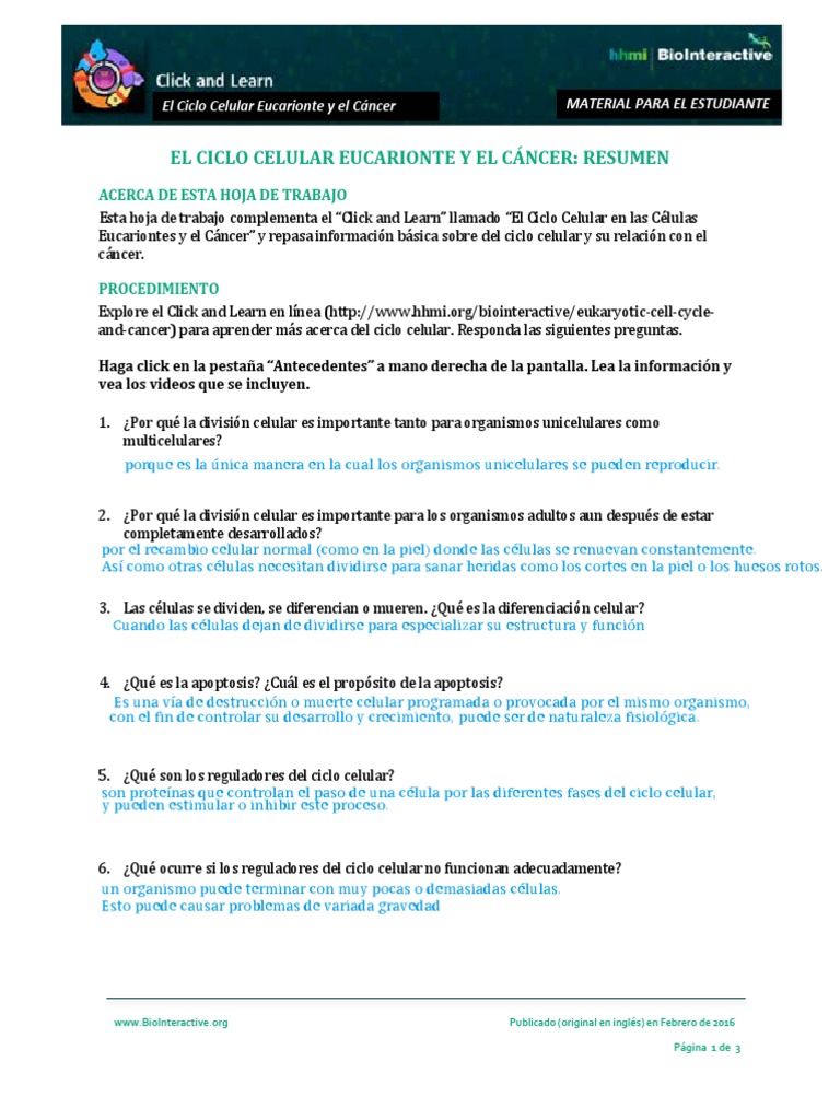 Tipos de cuchillas: formas comunes y sus usos, image size:768x1024