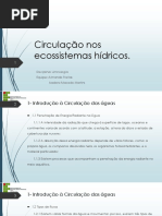 Circulação em Sistemas Hídricos.