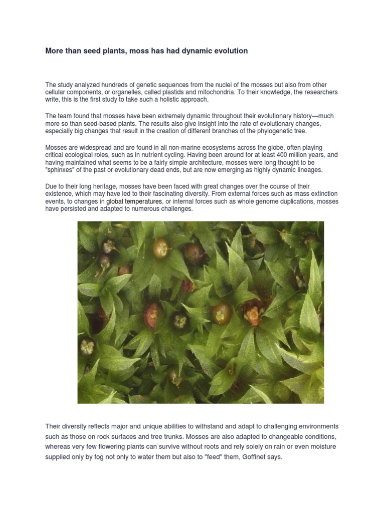 Moss Has Had Dynamic Evolution | PDF