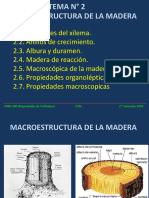 Tema #002. Macroestructura de La Madera