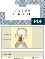 Coluna Cervical