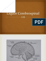 Liquor Cerebrospinal