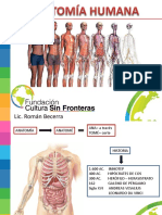 Generalidades de Anatomia Humana