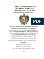 Mi Informe PP 2019 Ahemed Huaccachi Huaman PDF