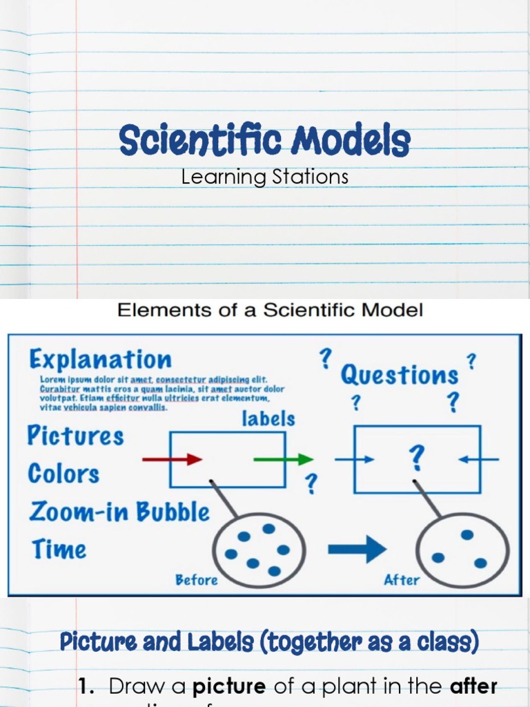 Grade 7 Scientific Model Worksheet | PDF | Teaching Methods & Materials