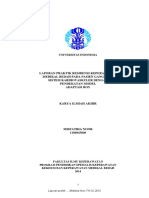 File PDF