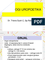 kul uropeoetika terbaru triana.pptx