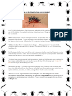 What Are the Things That Can Prevent Dengue