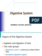 Digestive System: Norman V.Valera, MD, Dpsa