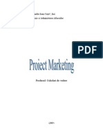 Proiect Marketing Produsul Ochelari de Vedere