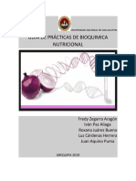 Guía prácticas bioquímica nutricional UNSA