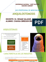 Anquilostiomosis 2019.pptx