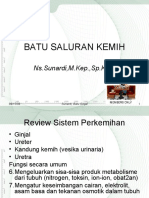 batu-saluran-kemih.pdf