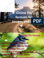 Online File: Formats For Images and Text