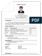 CV Resume Sales Professional