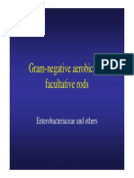 Gram Negative Aerobic and Facultative Rods